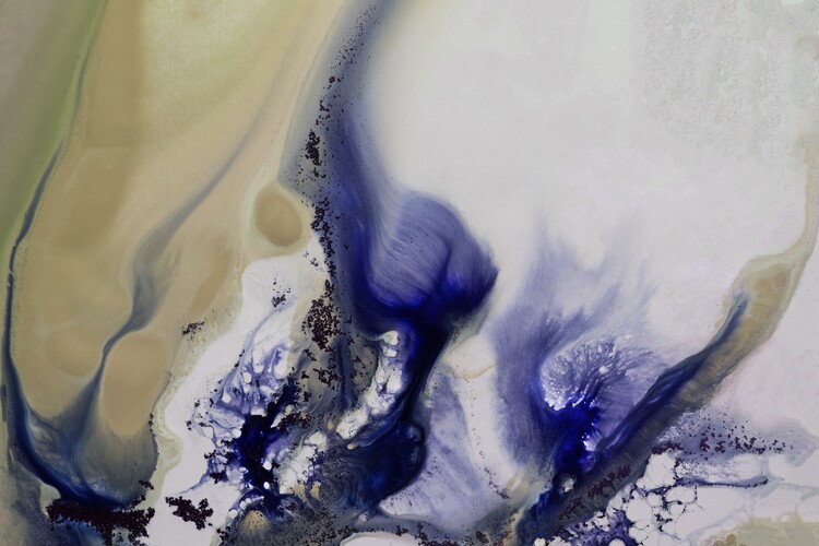 Plakat Whirls of the Waterscape