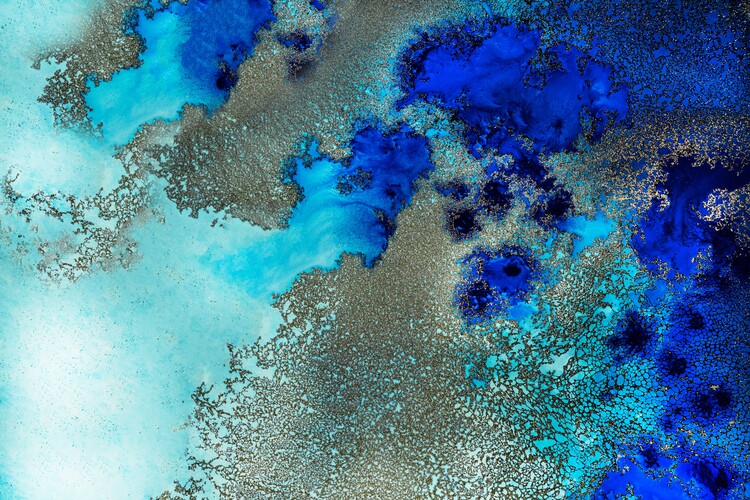 Vászonkép Reef Resonance