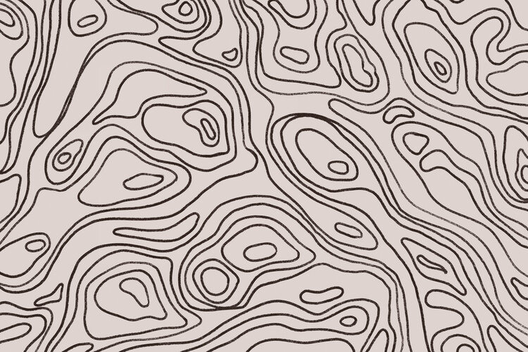 Canvas Print Iso Lines Square