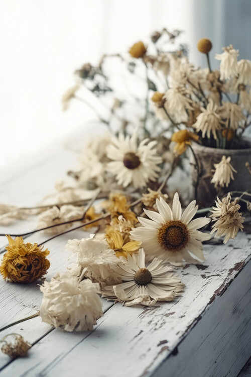 Poster Dry Flowers Arrangement