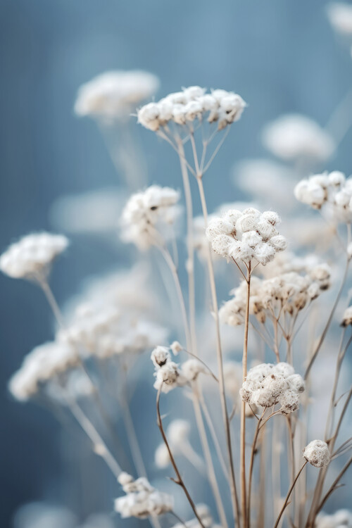 Poster Gentle Blue Mood