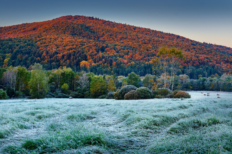 Poster Autumn vs Winter 2