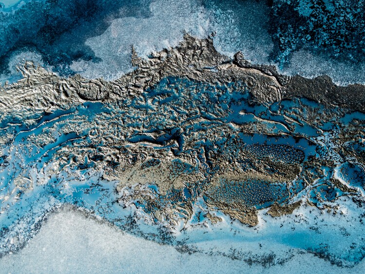 Plakat Ocean Life