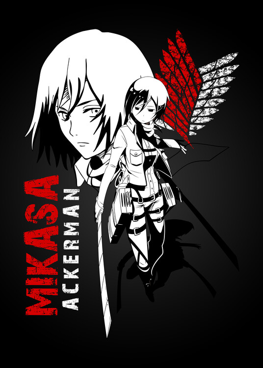 Canvas Print Mikasa