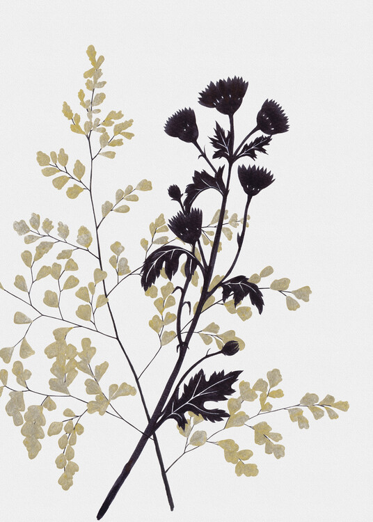 Poster Botanical 03, ink and gold nature illustration