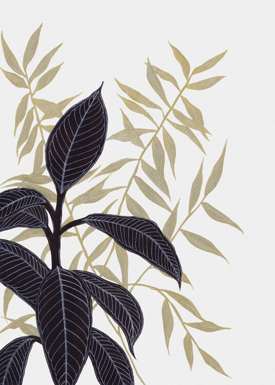 Poster Botanical 05, tropical ink drawing, plant illustration