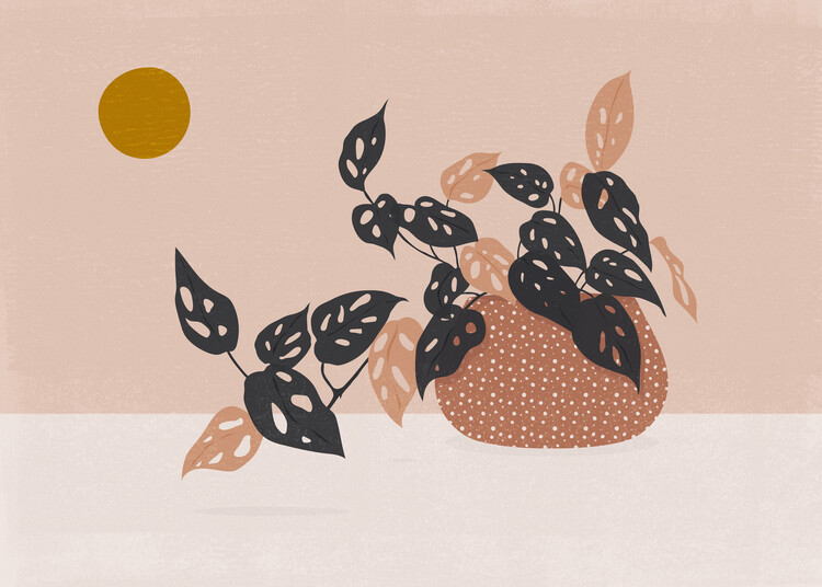 Poster Adanson's monstera plant illustration, digital art