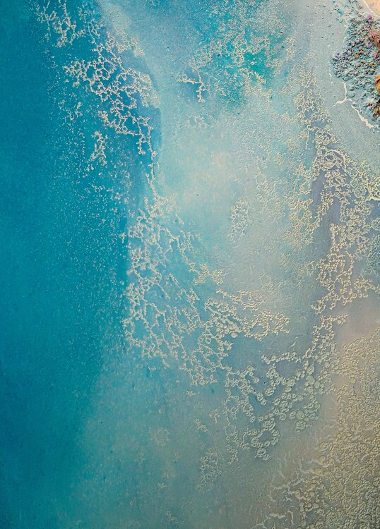 Poster Shallow Waters