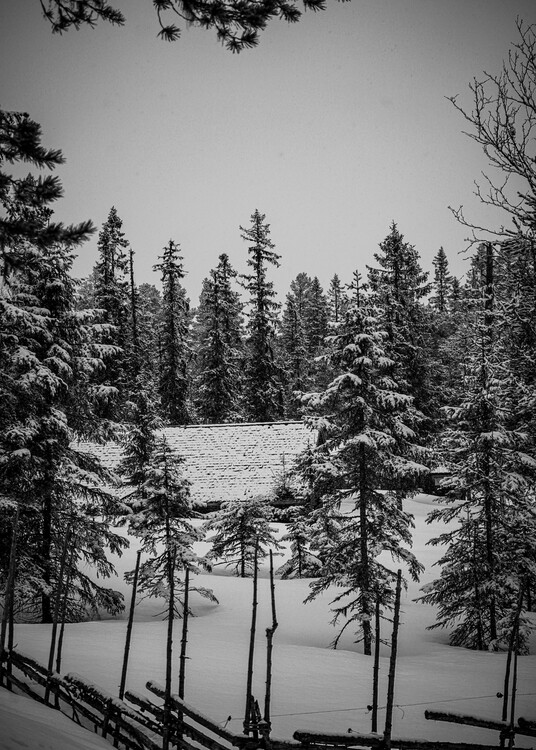 Плакат Swedish winter snow poster photo northern