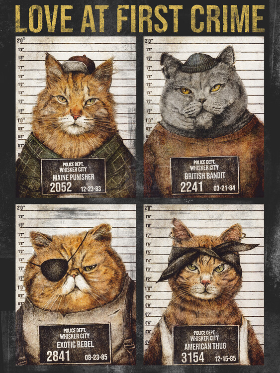 Poster Love at first Crime