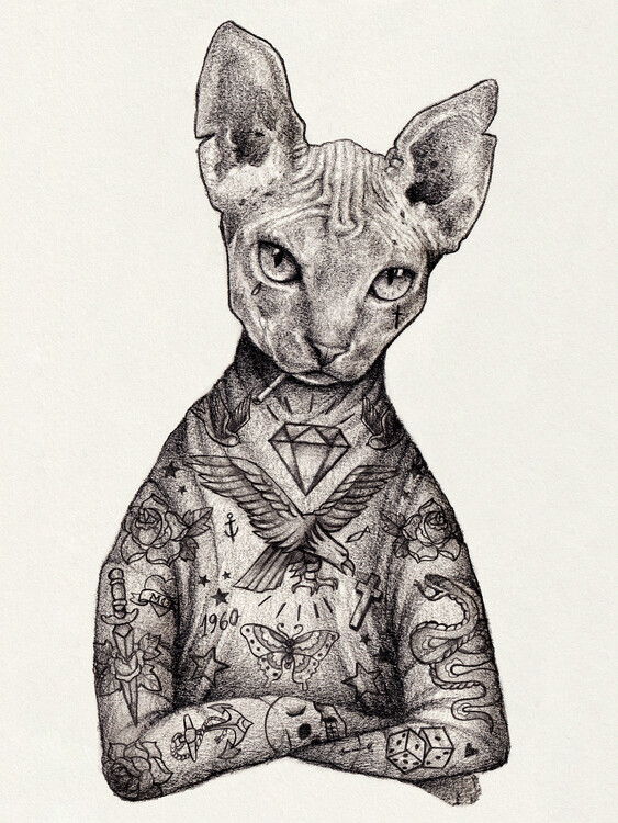 Juliste Sphynx b/w