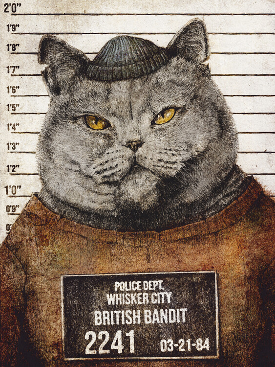 Плакат British Bandit
