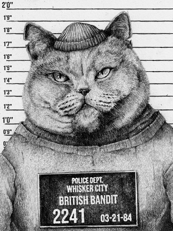 Плакат British Bandit