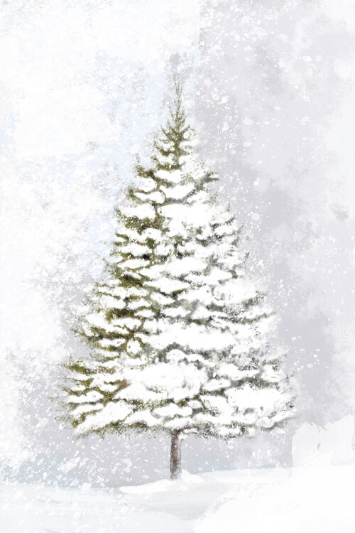 Plakát Lone fir in the snow