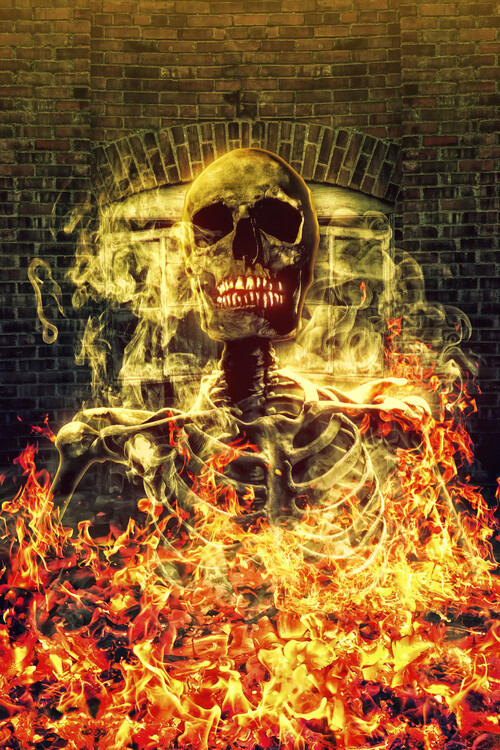 Poster Skull On Fire