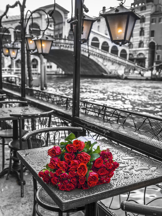Poster Waiting Roses