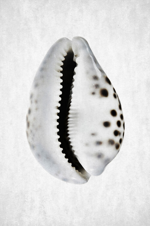 Poster Spring Tide 01