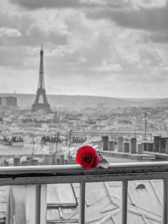 Poster Rose and the Eiffel Tower on a Parisian Balcony