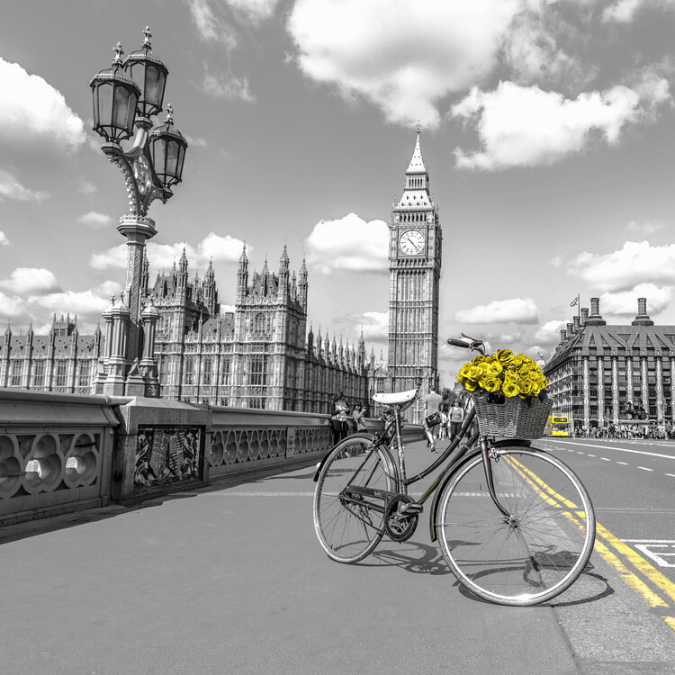 Poster Floral Journey of Westminster