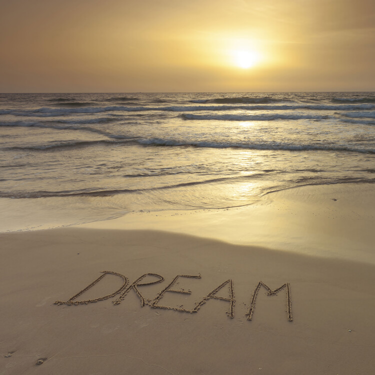 Poster Beach Dream