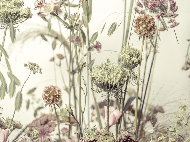Poster Wildflower Waltz