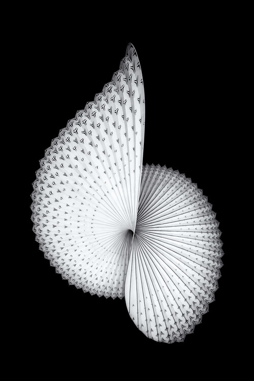 Obraz na plátně Nautilus-like Sculpture