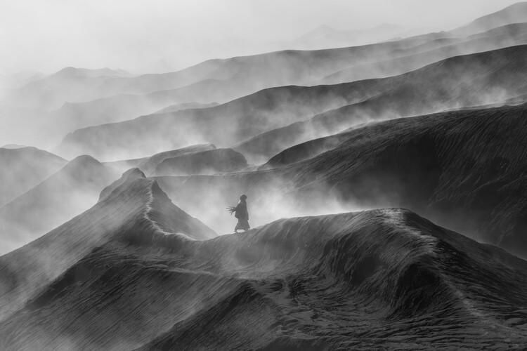 Poster Walking alone