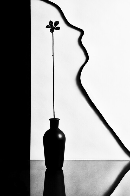 Canvas Print Untitled