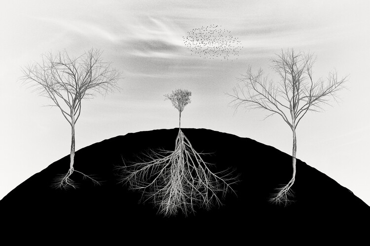 Poster weakness is not your weakness