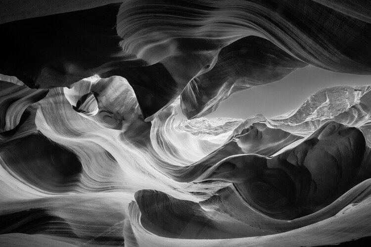 Poster Hallucinatory Space