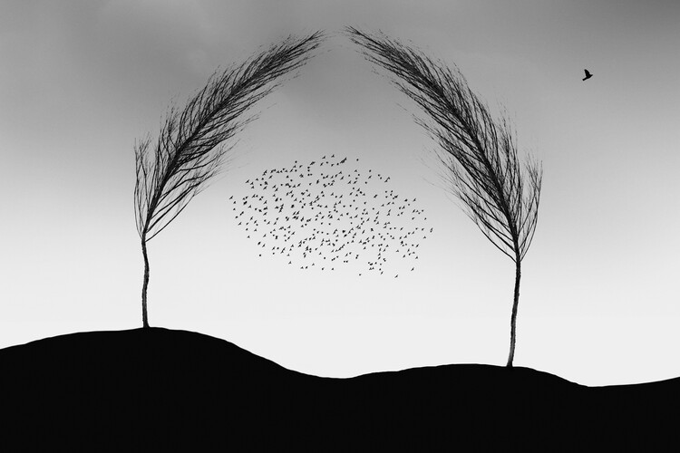 Levně Plakát, Obraz - a new beginning, Marchevca Bogdan, 40 × 26.7 cm