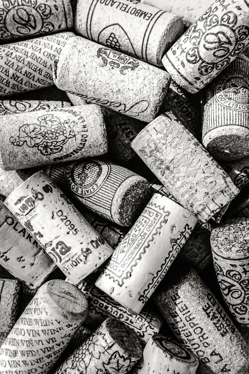 Canvas Print Wine 001 Bw