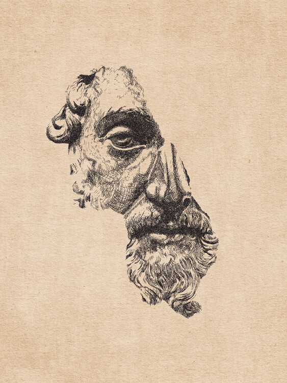 Poster Marcus Aurelius - pencil