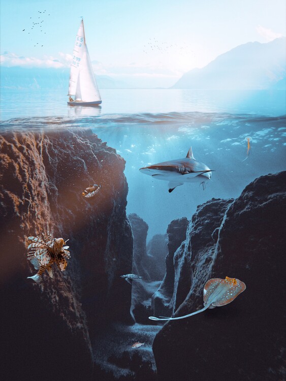 Poster Underwater life and sailing