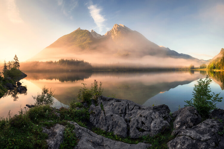 Canvas Print Golden Summer Morning in the Alps