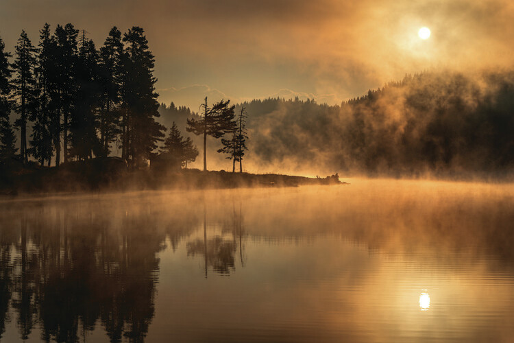 Poster Sunny morning