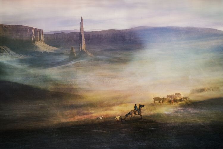 Levně Plakát, Obraz - Migrations, Shenshen Dou, 40 × 26.7 cm