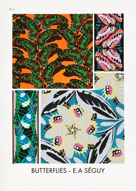 Levně Plakát, Obraz - Butterflies 17, Studio Collection, 30 × 40 cm