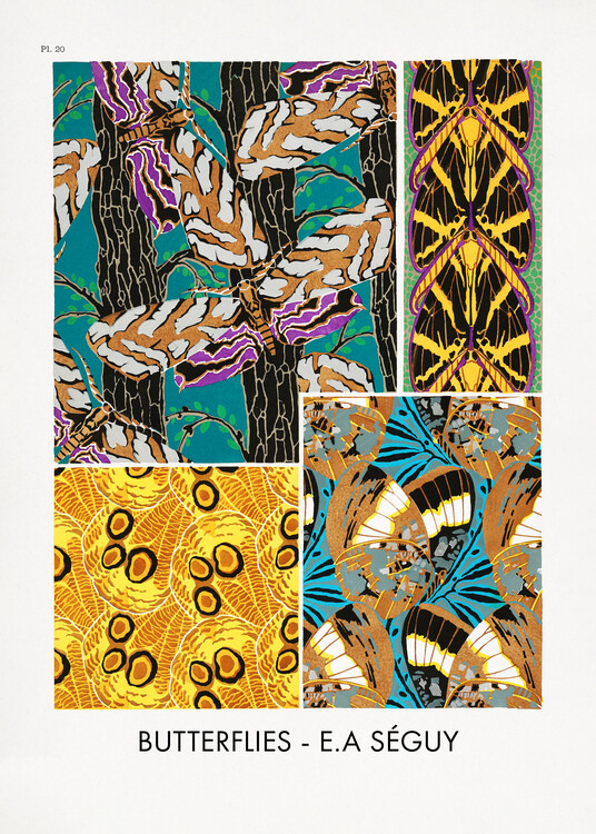 Poster Butterflies 20