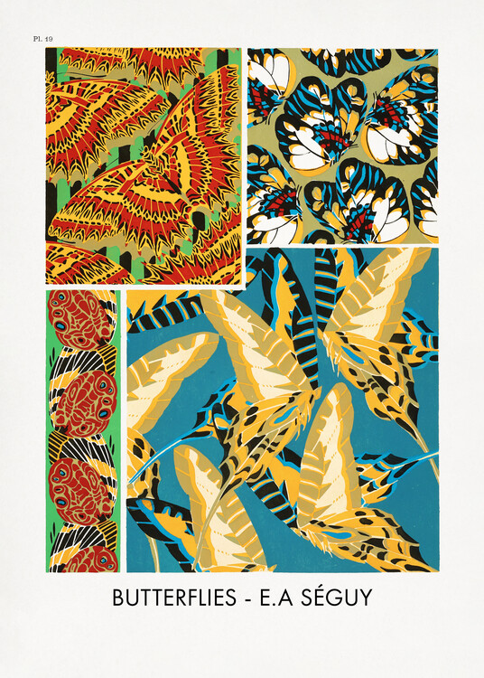 Poster Butterflies 19