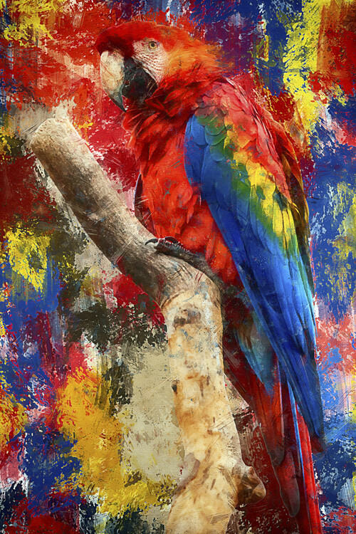 Poster The Parrot is perching on a log