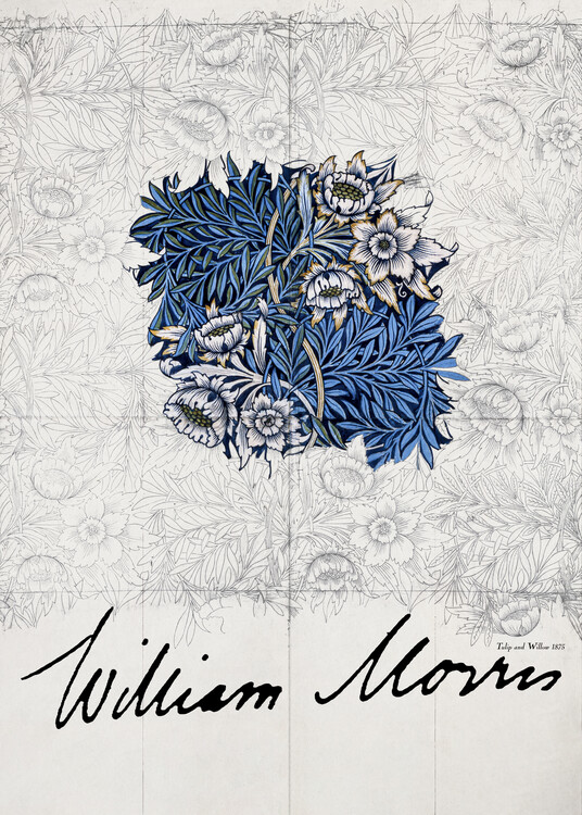 Canvas Print Tulip and Willow