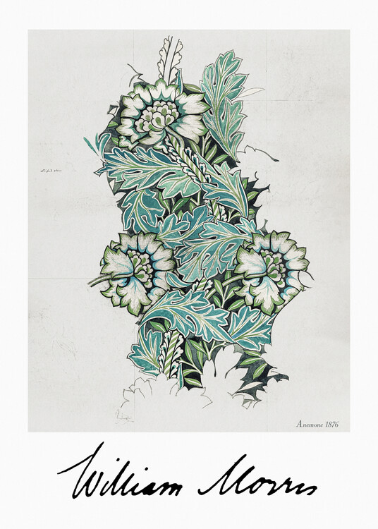 Canvas Print Anemone