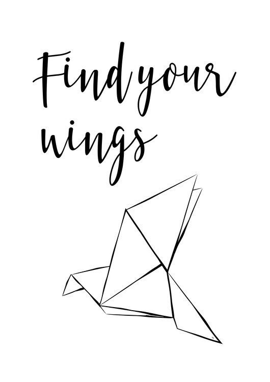 Poster Find Wings