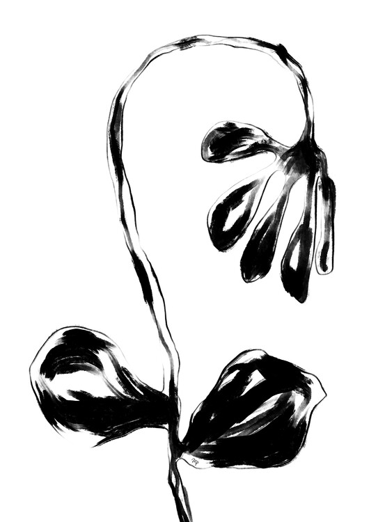 Quadro em tela Black Flower