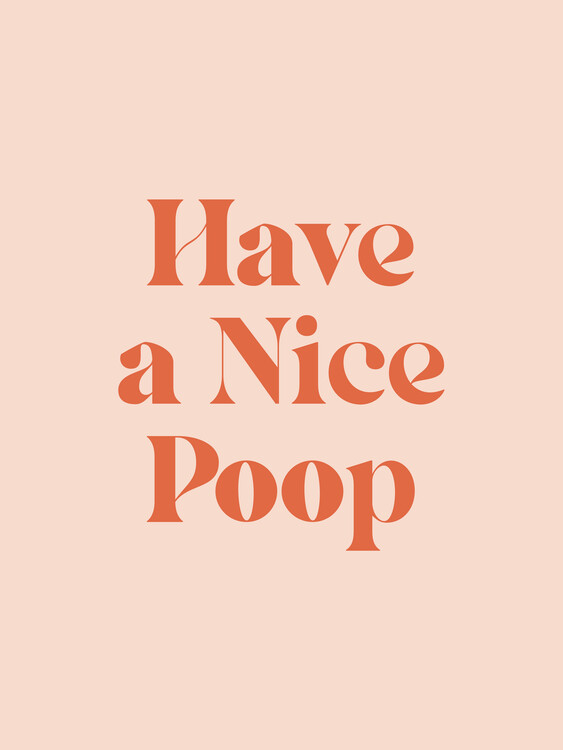 Poster Nice Poop