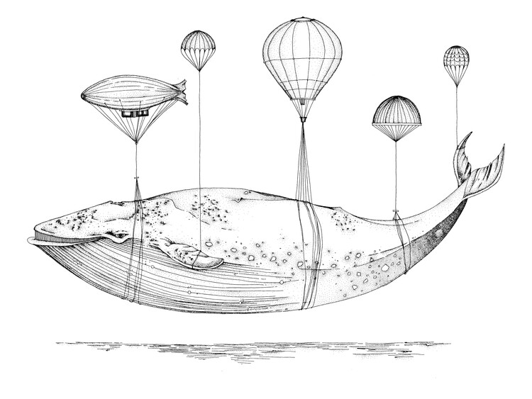 Plakat Balloon Whale