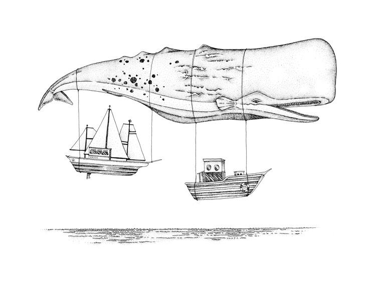 Плакат Boat Whale