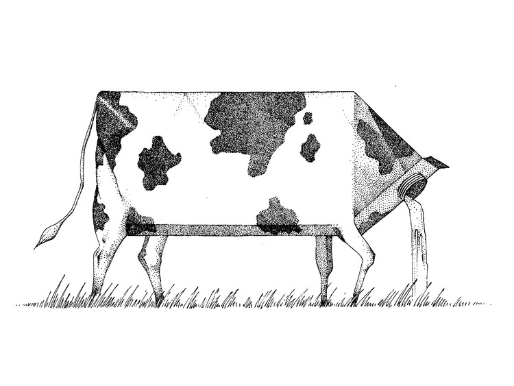 Plakat Cow Milk
