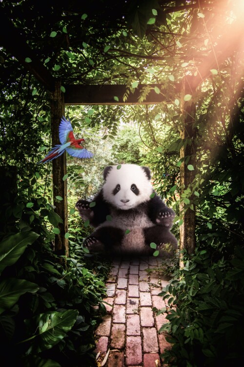 Plagát Cute giant baby panda in forest